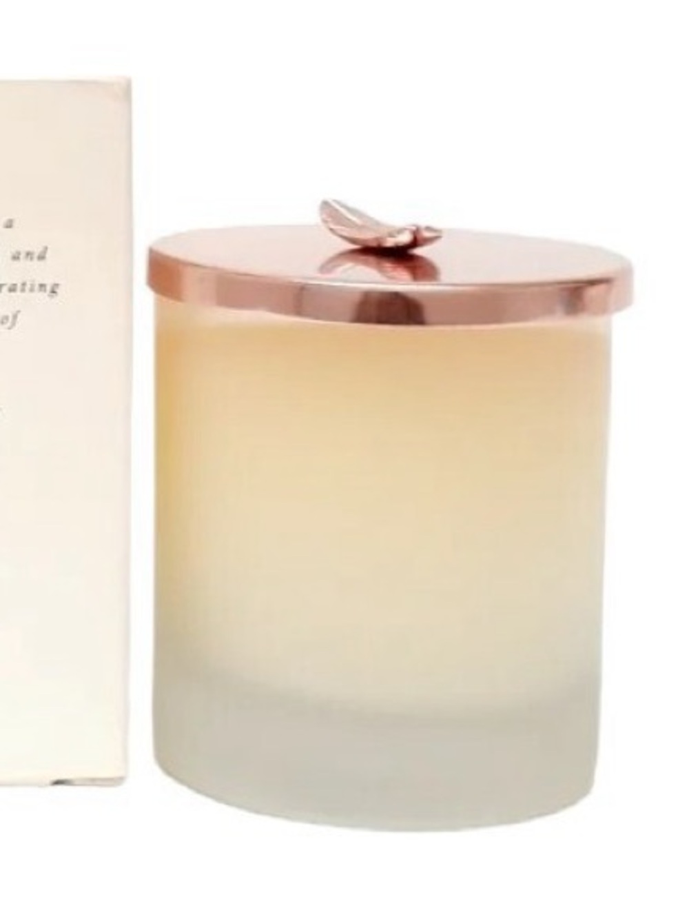 NEW Victoria’s Secret Dream Angels Heavenly candle
